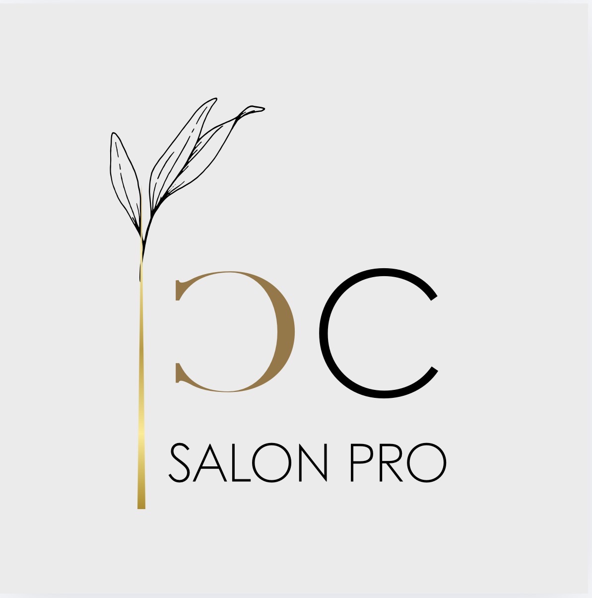 Logo de Classy Confidence