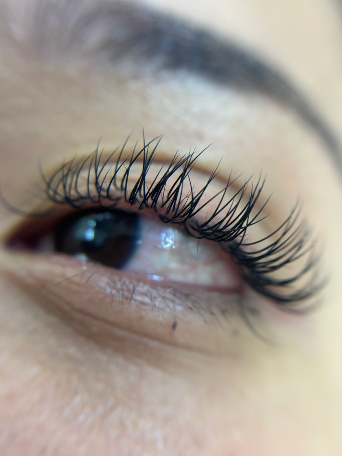 Foto del servicio Efecto clásica 🎀