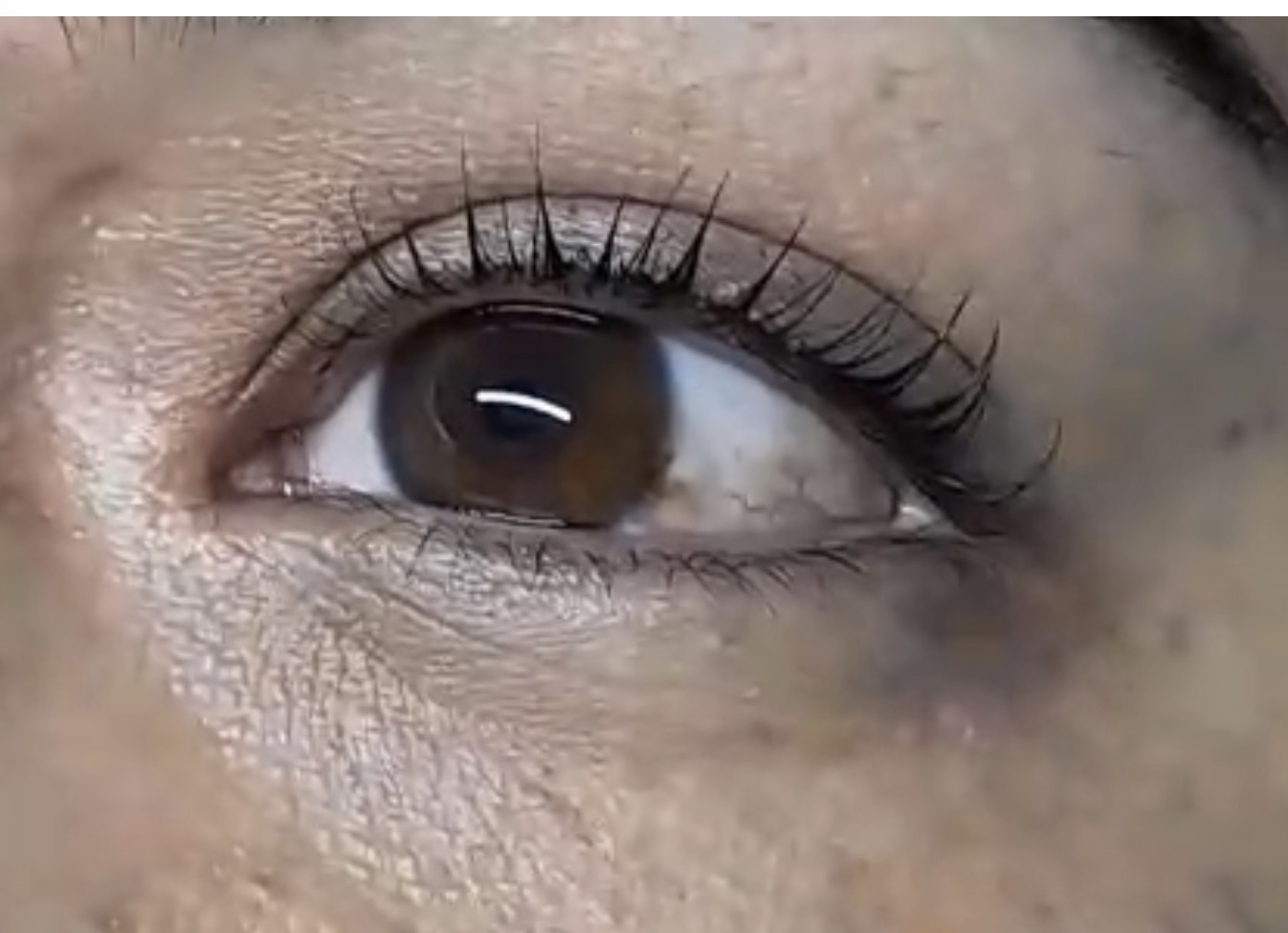 Foto del servicio HidraLash