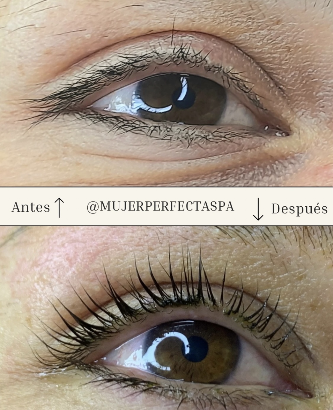 Foto del servicio Lifting de pestañas