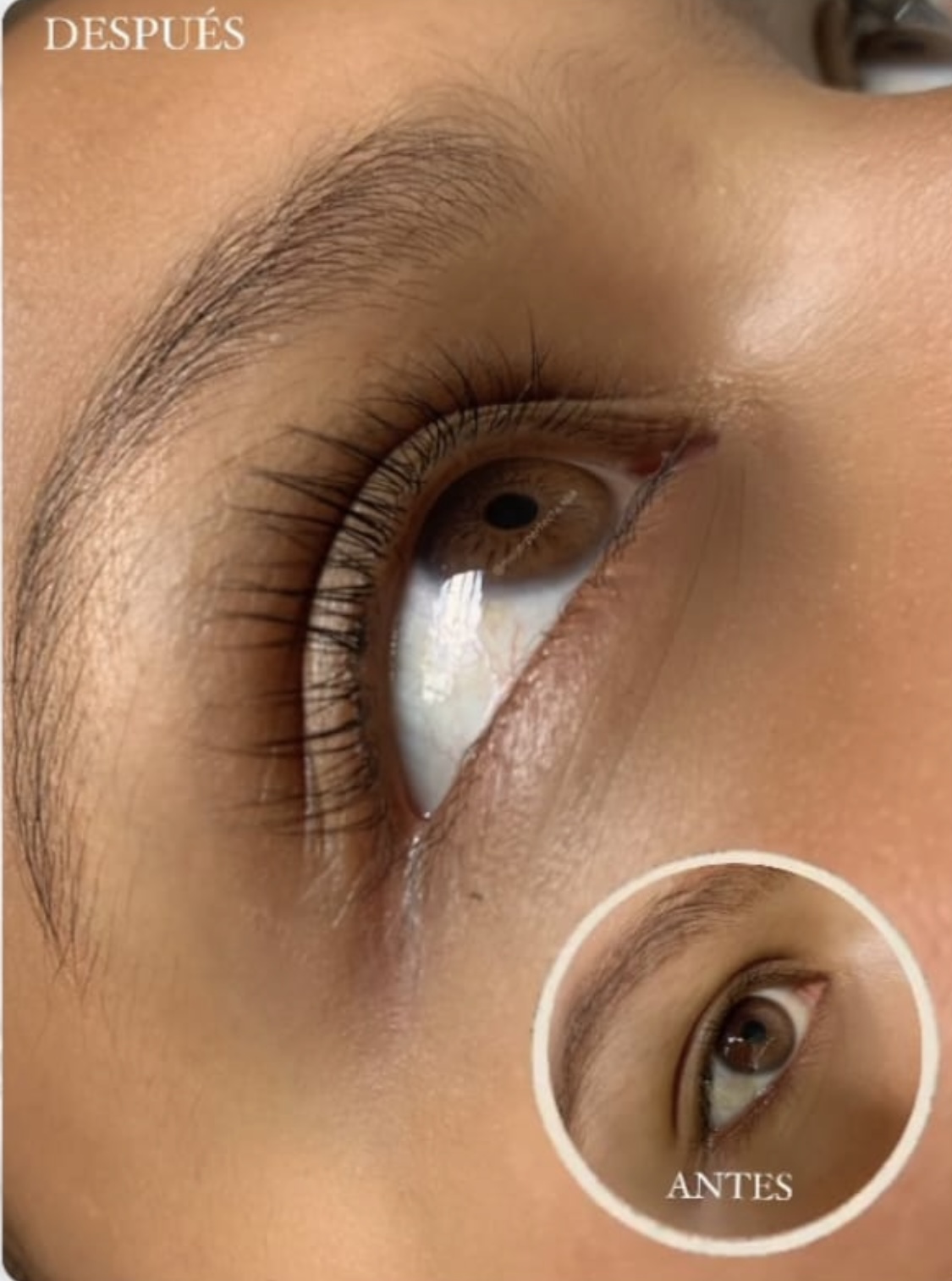 Foto del servicio Lifting de pestañas